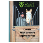 Ask Valor Minds
